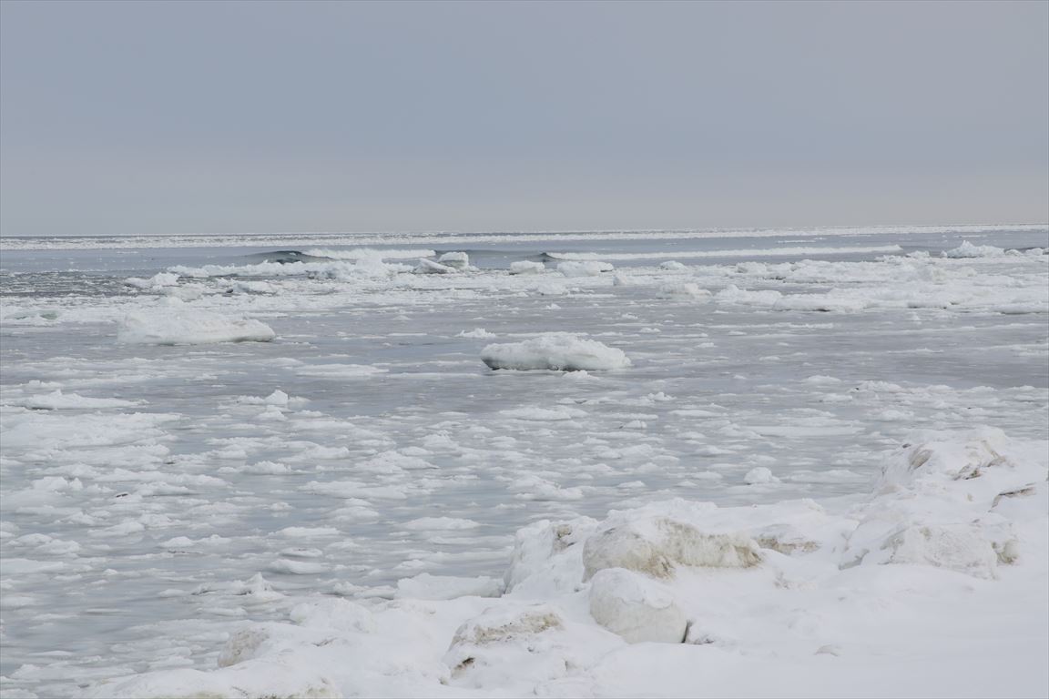 常南ビーチの流氷3